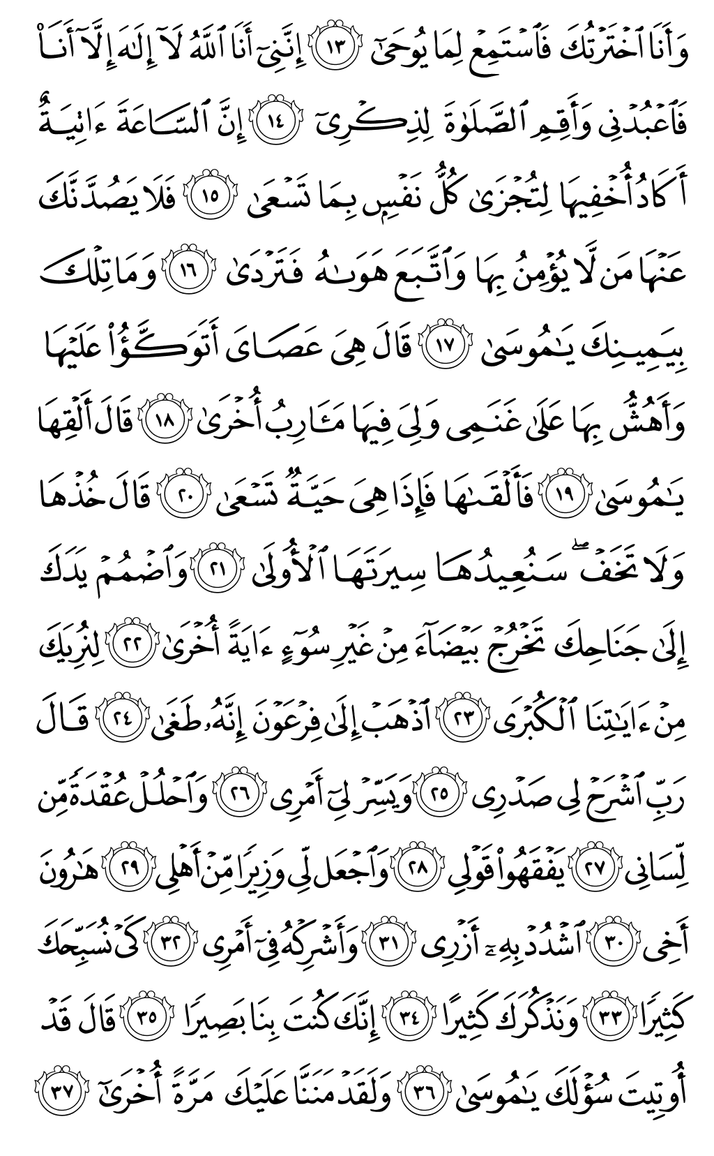 Page 313